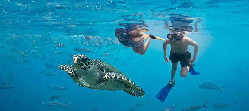 Tourism Fiji targets eco-conscious travelers with conservation campaign